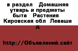  в раздел : Домашняя утварь и предметы быта » Растения . Кировская обл.,Леваши д.